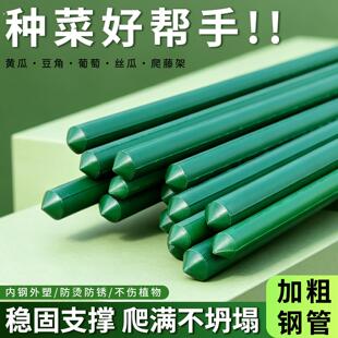 15根装黄瓜架杆楼顶种菜架子豆角蔬菜爬藤架搭棚子支架番茄支伸缩