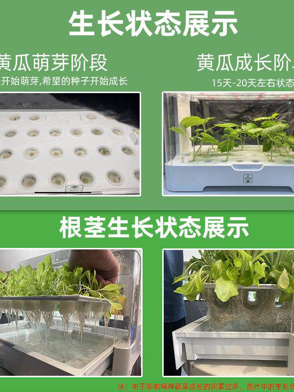 智能无土栽培蔬菜设备桌面生菜水耕机有灯一键操作懒人种菜水培箱