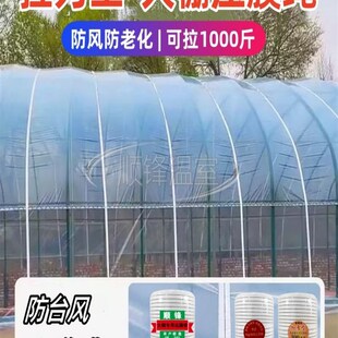 温室大棚压膜带压膜绳压膜线白色加厚抗老化棚绳防风绳子配件大全