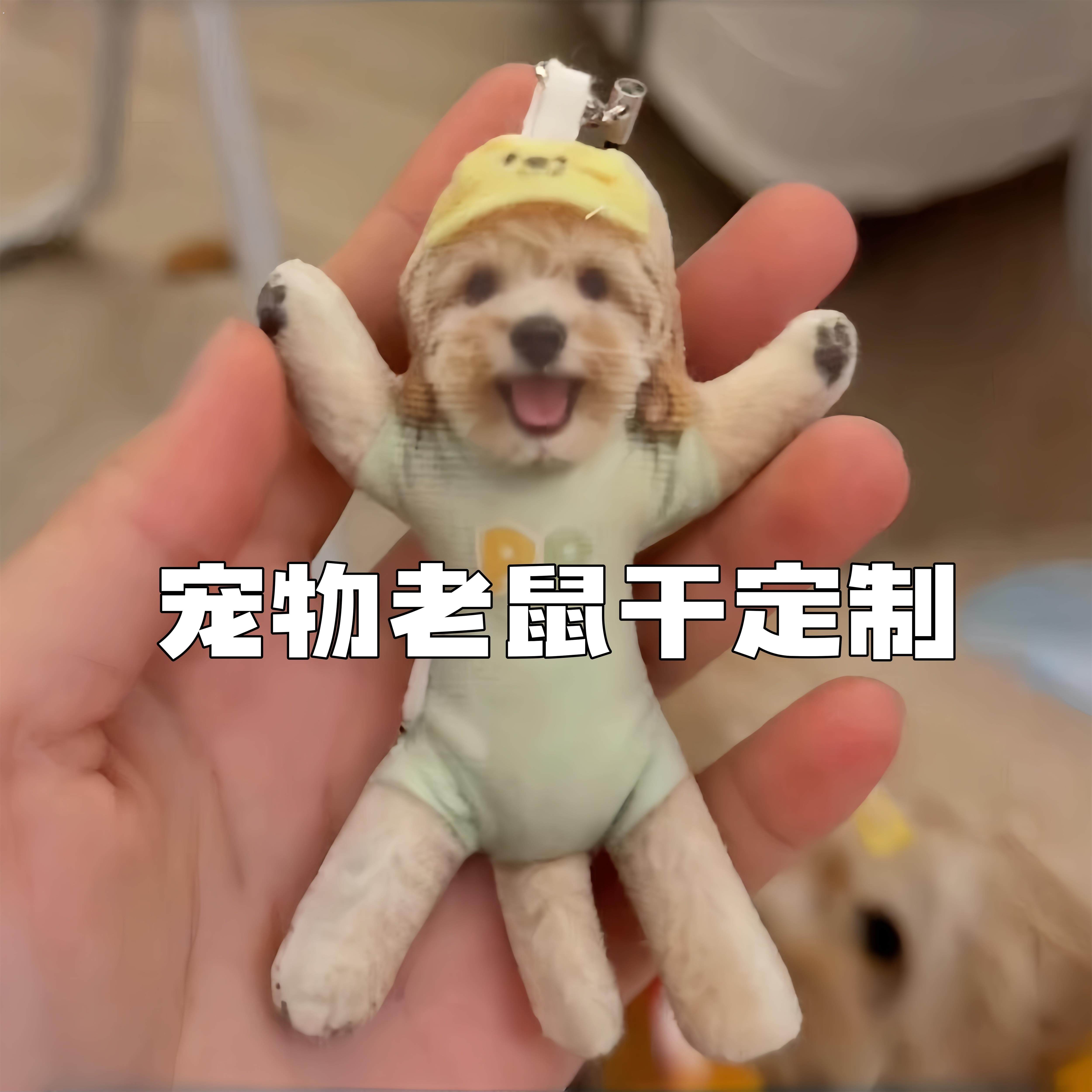 来图定制宠物老鼠干猫咪狗狗迷你可爱带骨架摆造型乳鼠干玩偶挂件 - 实物图