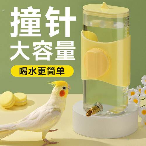 鸟用饮水器喝水鹦鹉喂水器撞针自动大号水壶玄凤龙猫喂鸟器用品具