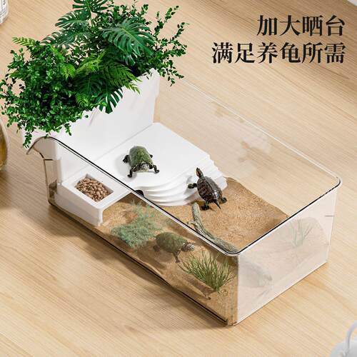 乌龟龟缸家用小型专用箱专用螃蟹生态办公室造景桌面巴西龟饲养