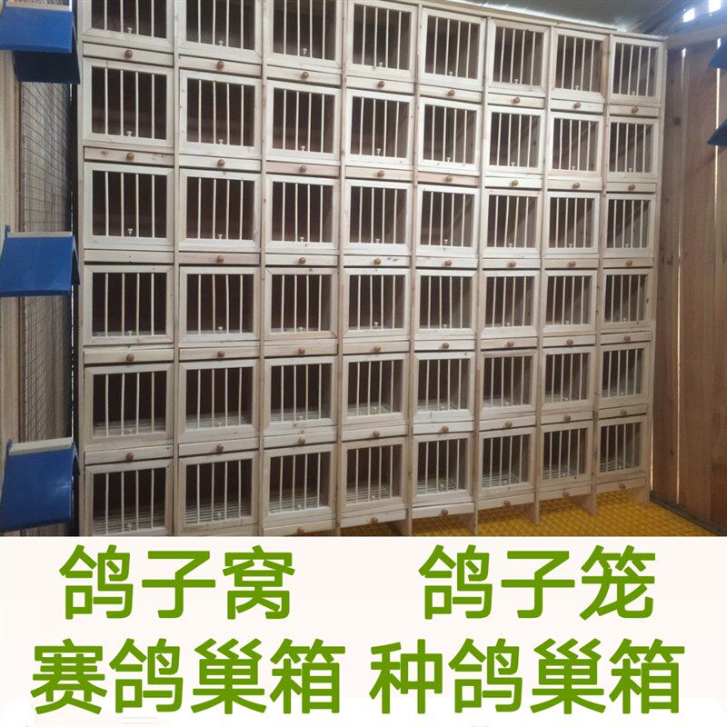实木鸽笼 比赛赛飞巢箱 木质鸽窝 赛鸽组合巢箱 鸽子配对笼 鸽巢