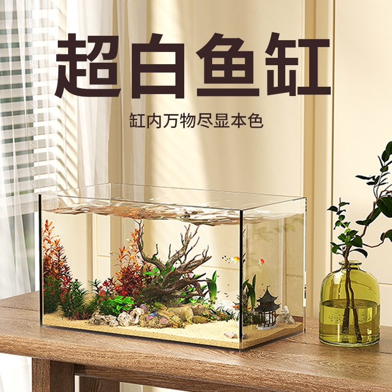 超白鱼缸客厅2025新款生态造景金鱼缸小型桌面玻璃鱼缸家用水族箱