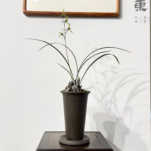 轻奢 东门23号 出汗泥紫砂兰花盆寒兰春兰建兰莲瓣兰盆兰花引种盆