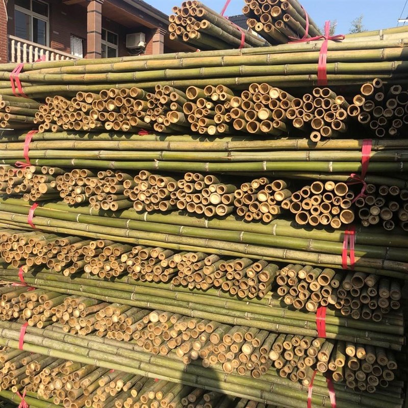 黄瓜豆角爬藤菜架竹竿架菜园搭架竹子户外旗杆篱笆围栏竹杆子
