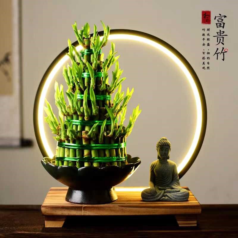 节节高富贵竹水培室内盆栽植物竹塔转运竹办公室客厅开业乔迁送礼