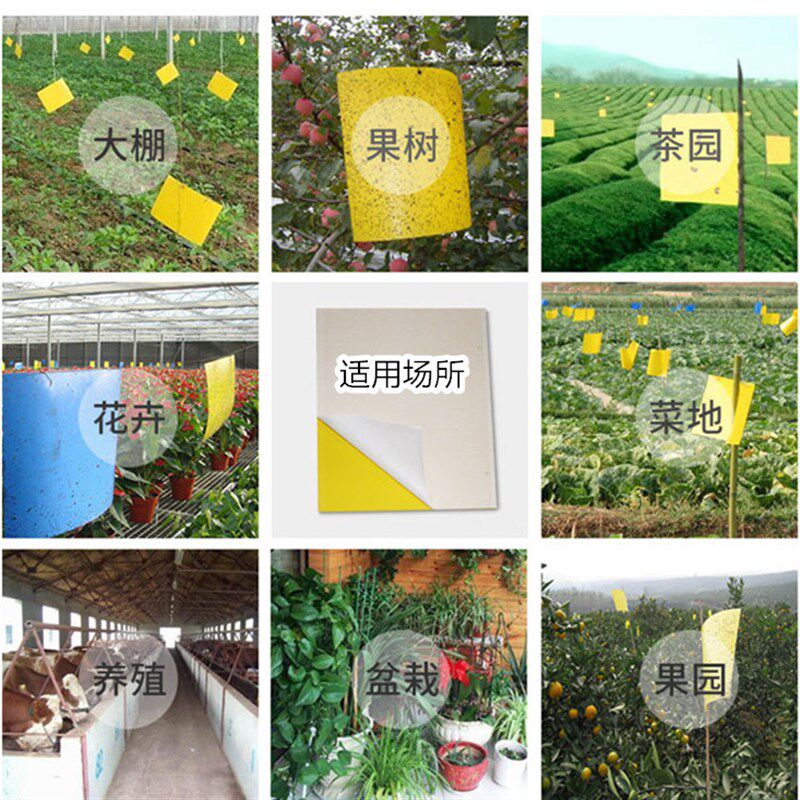 加厚黄板粘虫板蓝板双面特粘蓟马诱虫贴飞虫大棚果园针锋茶园花卉