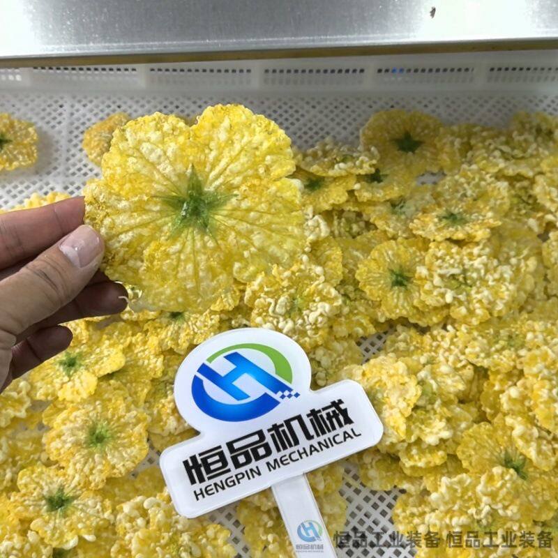 全自动黄金花油炸线 鲜丝瓜花上浆油炸机 自动化炸南瓜花的机器