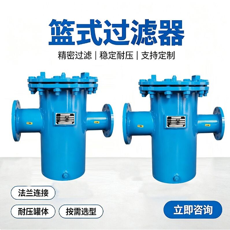 碳钢快开篮式过滤器不锈钢提篮式过滤器泳池污水毛发收集过滤器