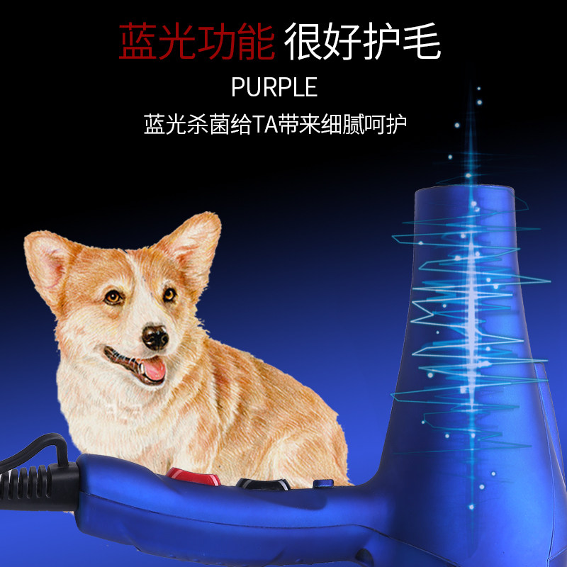 宠物吹风机大功率宠物吹毛吹乾洗澡工具大小型犬吹水烘乾猫狗通用
