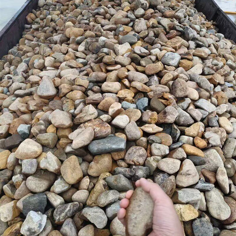 天然鹅卵石河卵石河滩石变压器水池铺路造景石头污水处理过滤
