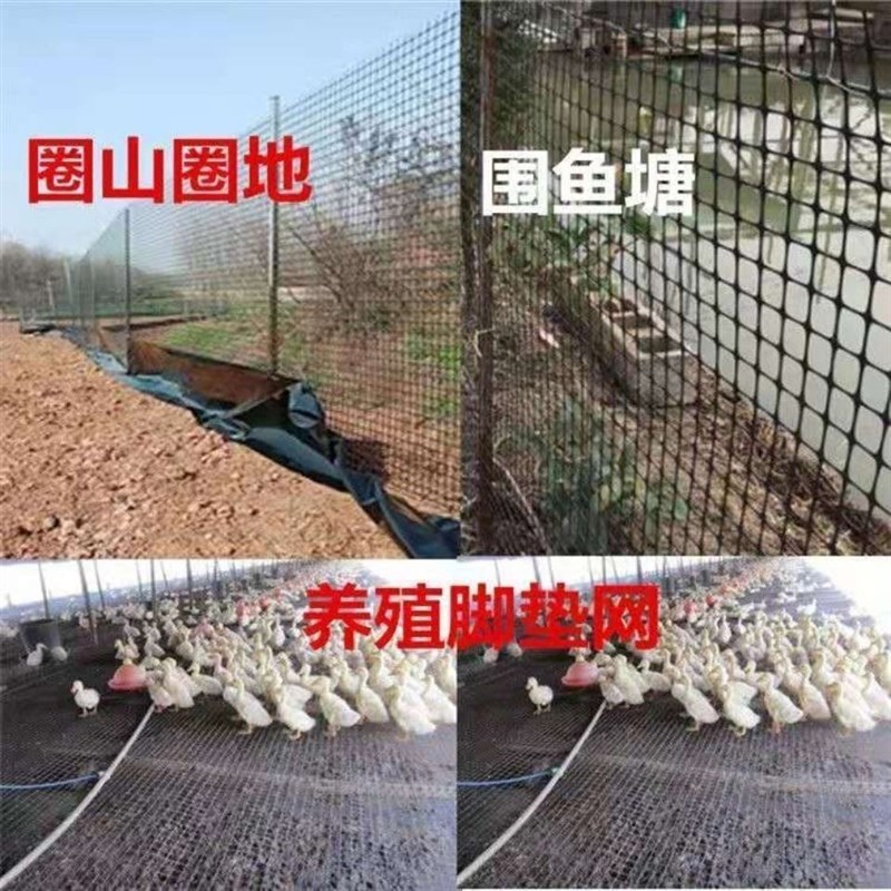 养鸡塑料网格围栏网拦鸡家用玉米养殖网果园鱼塘防护网菜园栅栏