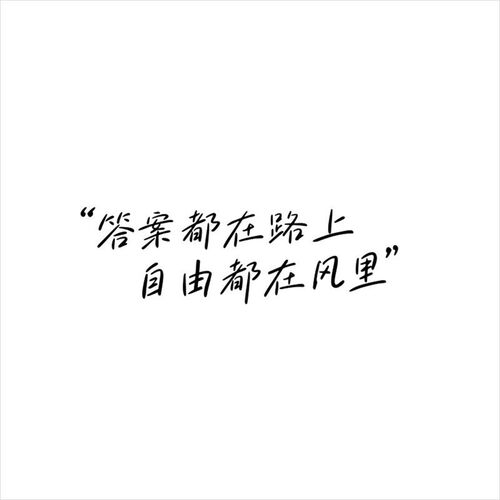 答案都在路上自由都在风里创意文字电动车身装饰车贴纸车窗贴2006