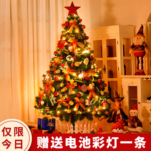 耶诞节装饰品耶诞树家用发光2023新款拍照场景布置装扮大型摆件