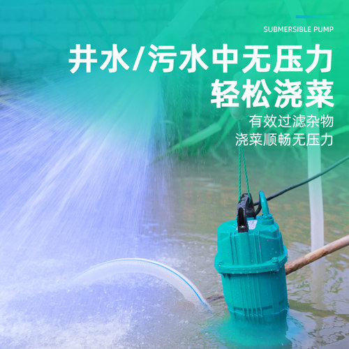 潜水泵220v家用浇水泵交流小型高扬程抽水机农用灌溉排污水泵