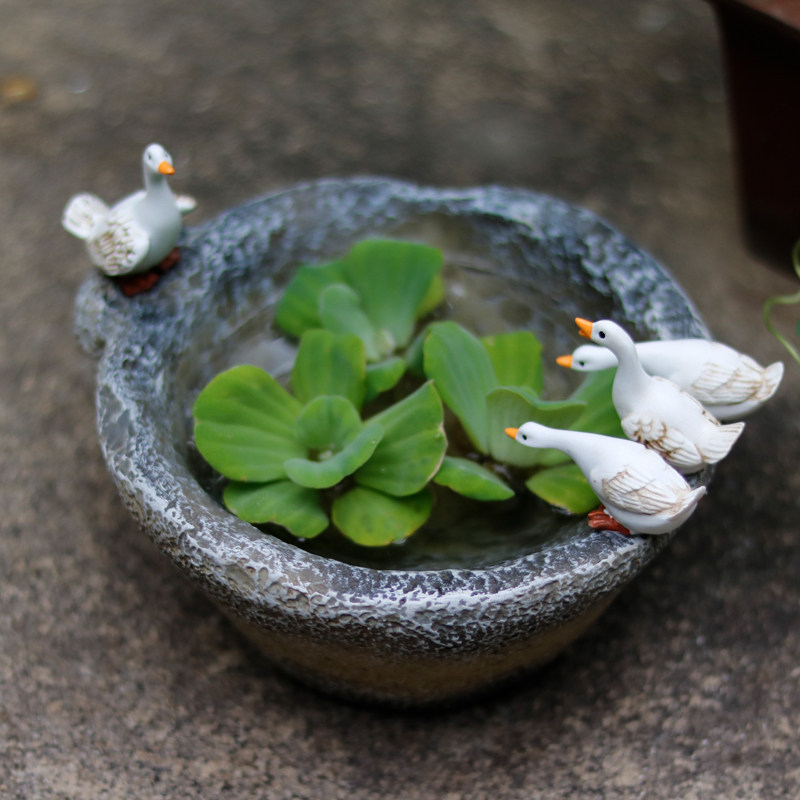 创意铜钱草碗莲水培小白鸭子花盆摆件个性装饰仿石臼多肉盆栽礼物