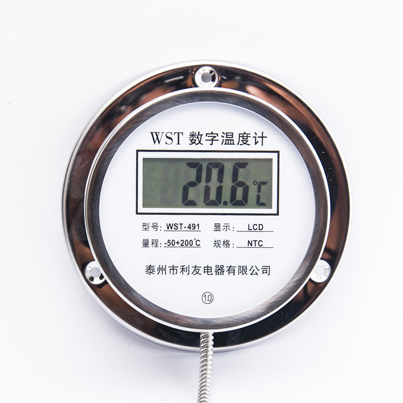 全国包邮!数显温度计带探头 WST/DTM-491 测温仪 工业数字水温表