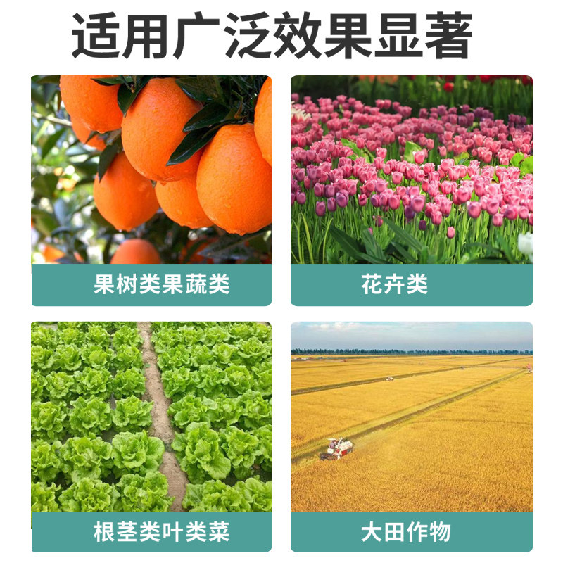 启明生物微生物松土菌快速破除土壤板结疏松透气增进肥效促生根 - 实物图