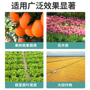 启明生物微生物松土菌快速破除土壤板结疏松透气增进肥效促生根