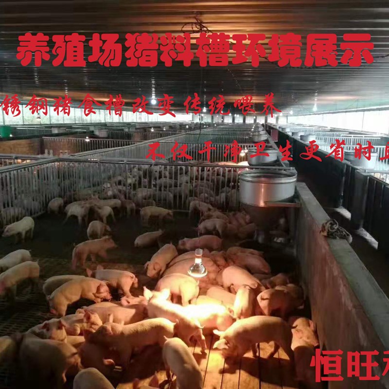 不锈钢干湿猪食槽猪料自动下料投喂器料槽养猪场保育专用新款上市
