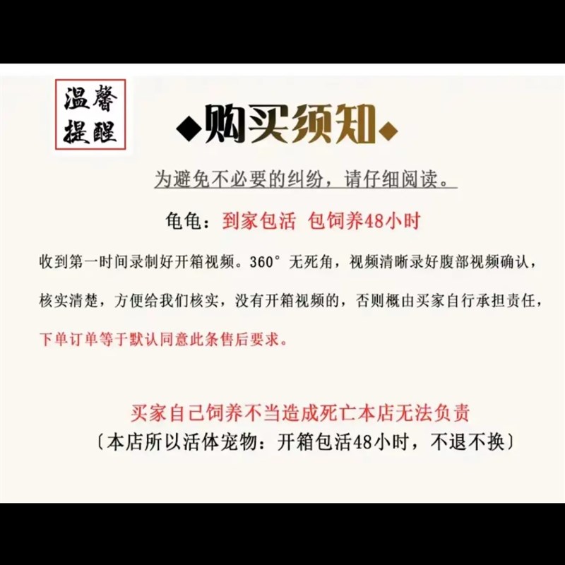 原种纯佛鳄龟野佛后代粗刺高背 头大爆刺 活体宠物观赏宠物