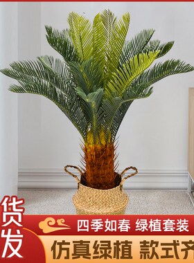仿真绿植散尾葵高端轻奢假花树室内高级仿生植物大型落地装饰摆件