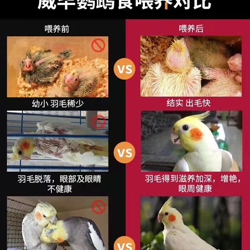 鹦鹉饲料鸟粮水果蔬菜高钙颗粒粮二斤装