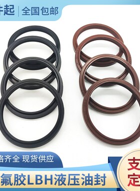 氟胶/丁晴橡胶LBH防尘密封圈14*22/16*24/18*26/20*28/22*30*6