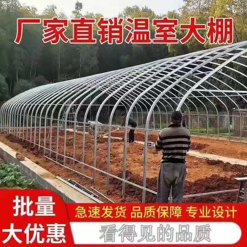 养殖大棚全套大棚骨架家用温室种植棚专业养鸡棚羊棚牛棚养猪大棚