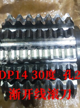 渐开线滚刀 DP14 压力角30度 内孔22 河冶高速钢6542