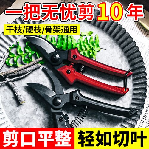 园艺剪刀园林花艺修剪树枝剪刀果树采摘专用剪刀强力剪子工具修枝