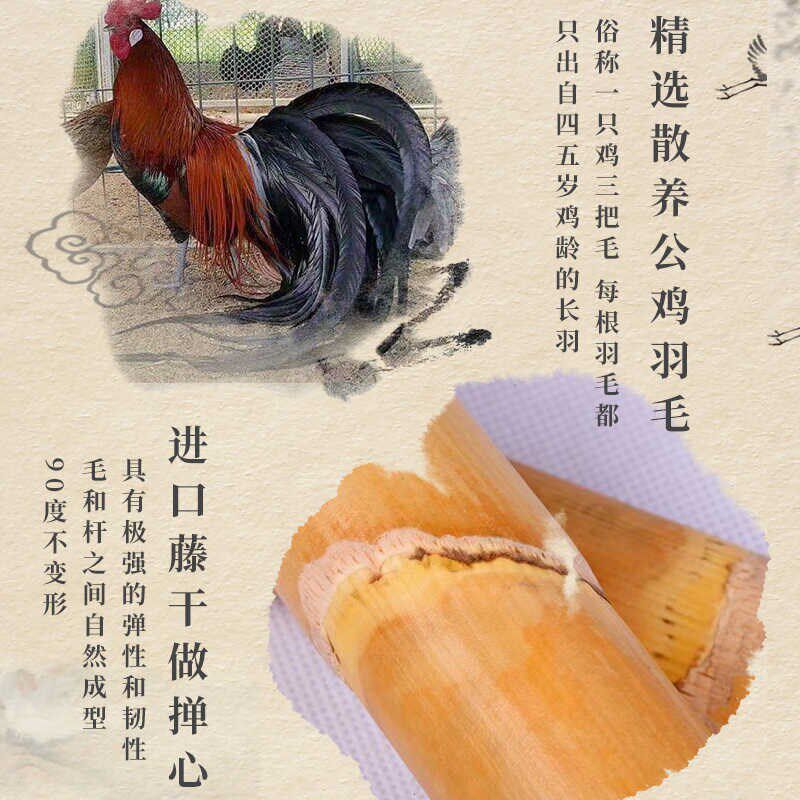 蔡氏贡掸真鸡毛掸子家用除尘结婚陪嫁不掉毛家务清洁加厚鸡毛禅子