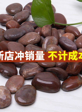 50斤天然红色鹅卵石庭院原石园林铺路装饰鱼缸造景雨花石头小石子