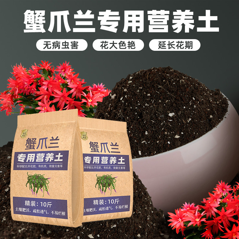 蟹爪兰专用土营养土养花专用通用肥料泥土盆栽土蟹爪莲蟹脚兰土壤