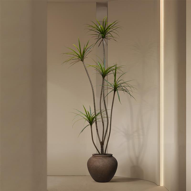 仿真绿植大型龙血树盆栽室内民宿门店装饰高级仿生假植物落地摆件