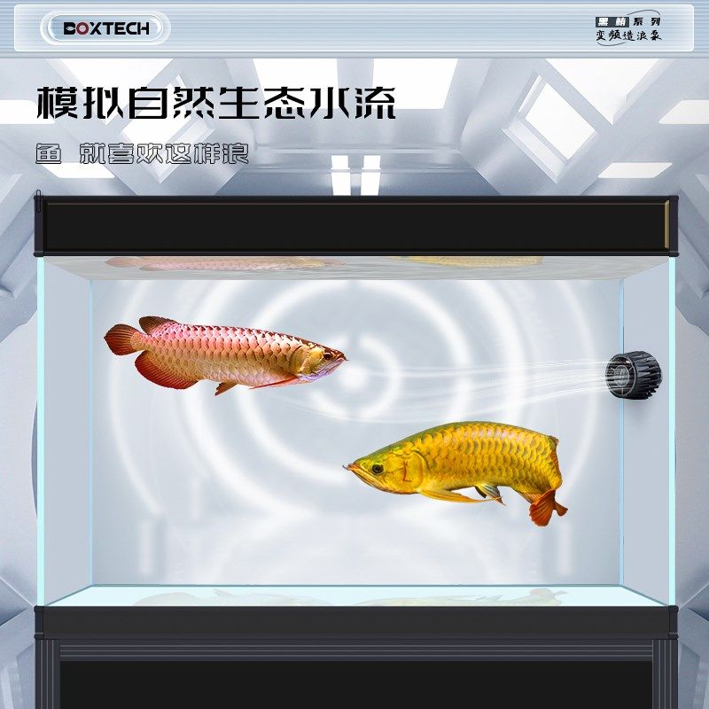 鱼缸造浪泵超静音大功率冲浪泵变频可调节抽粪吹粪海水打浪器环流