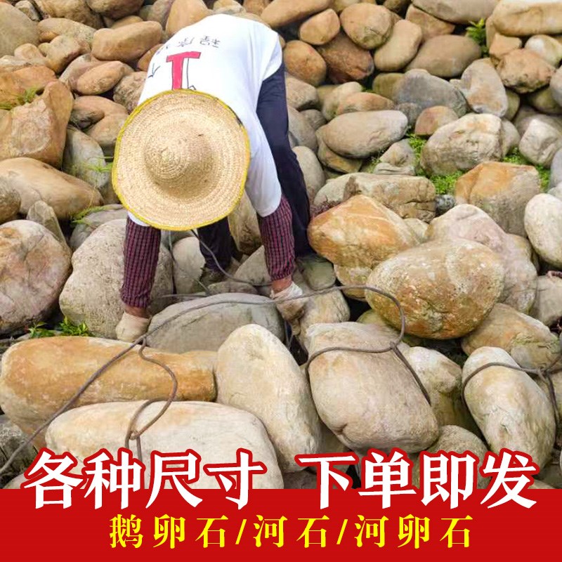 鹅卵石大号天然河卵石原石庭院地舖石头溪流石河滩石石子产地
