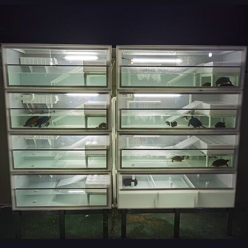 多层龟箱龟拖龟池带沙池爬坡过滤循环水观赏陆水乌龟养殖箱可定制
