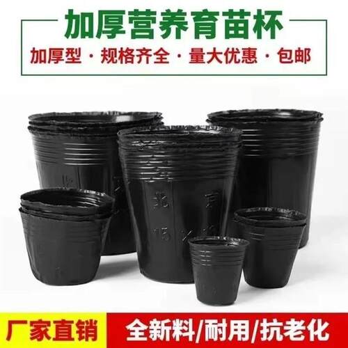 营养杯育苗杯一次性黑色营养袋育苗袋大号播种植塑料育苗盆营养钵