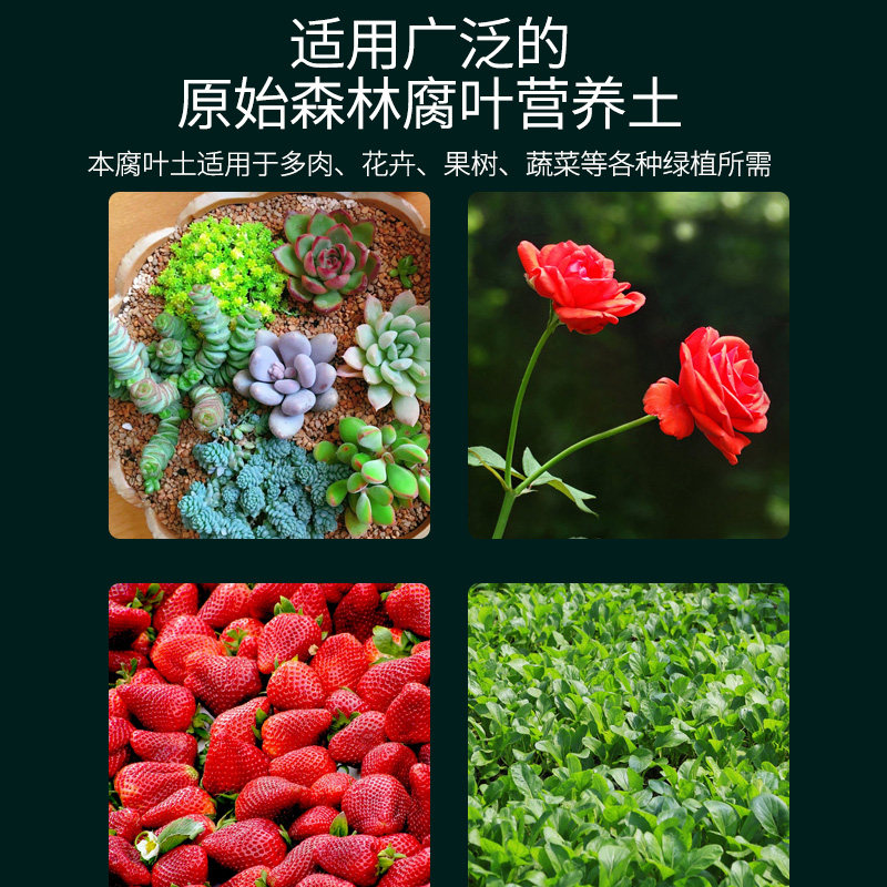 云南腐叶土松针腐殖营养土100升包邮绿植多肉花卉种菜种植培养土