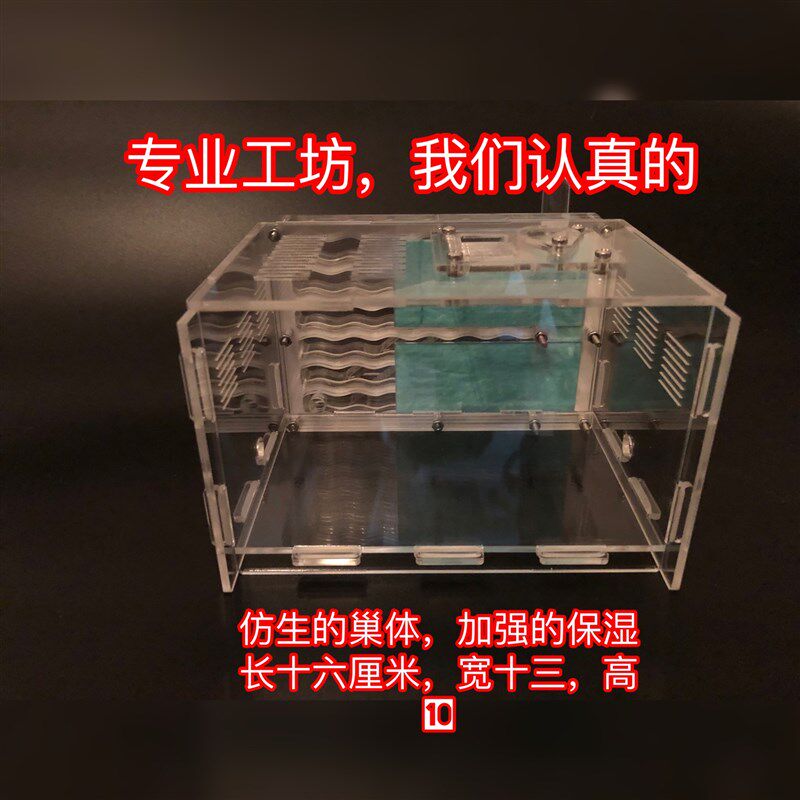 蚂蚁城堡 蚂蚁工坊亚克力蚁巢  地王蚁巢 地王3代 全异巨首蚁蚁巢