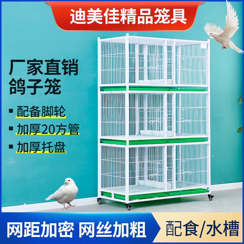 鸽子笼鸟笼鹦鹉笼鸡笼加粗加密鸽子笼防黄鼠狼公棚鸽舍鸽子配对笼