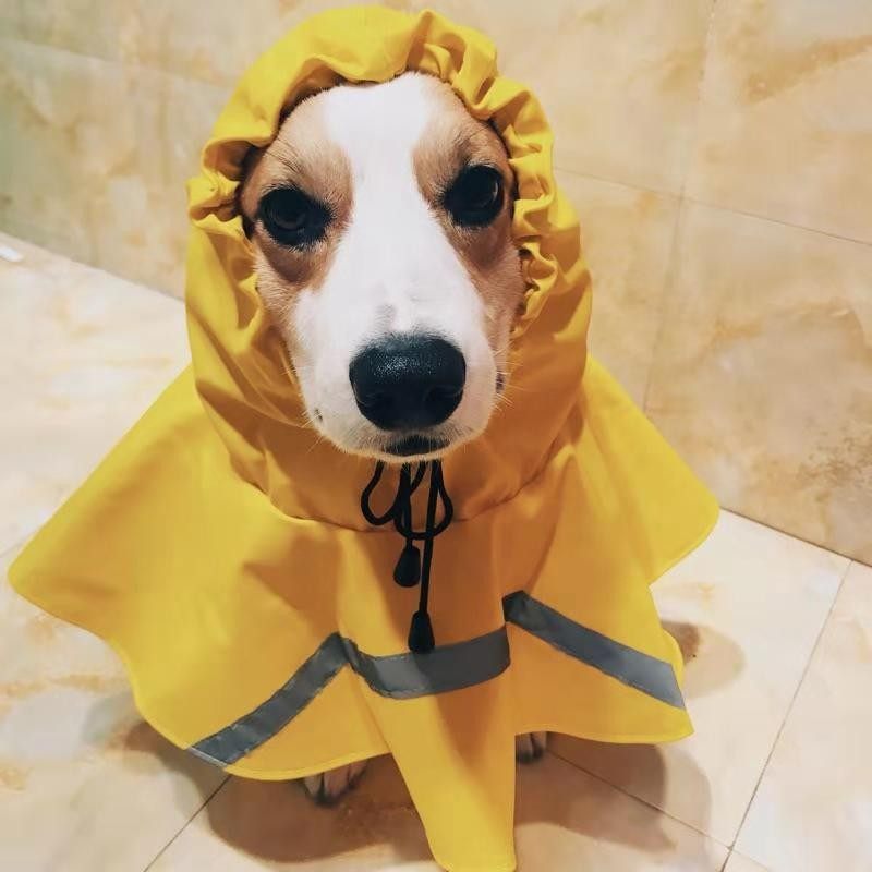 宠物狗雨衣大狗雨衣衣服拉布拉多金毛边牧中大型犬雨衣防水狗雨衣
