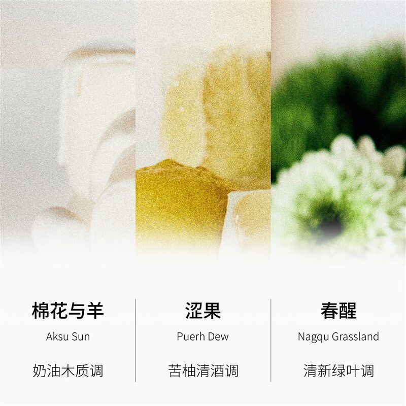 其里无火香氛扩香香薰礼盒小众高级生日结婚礼物伴手礼卧室助眠