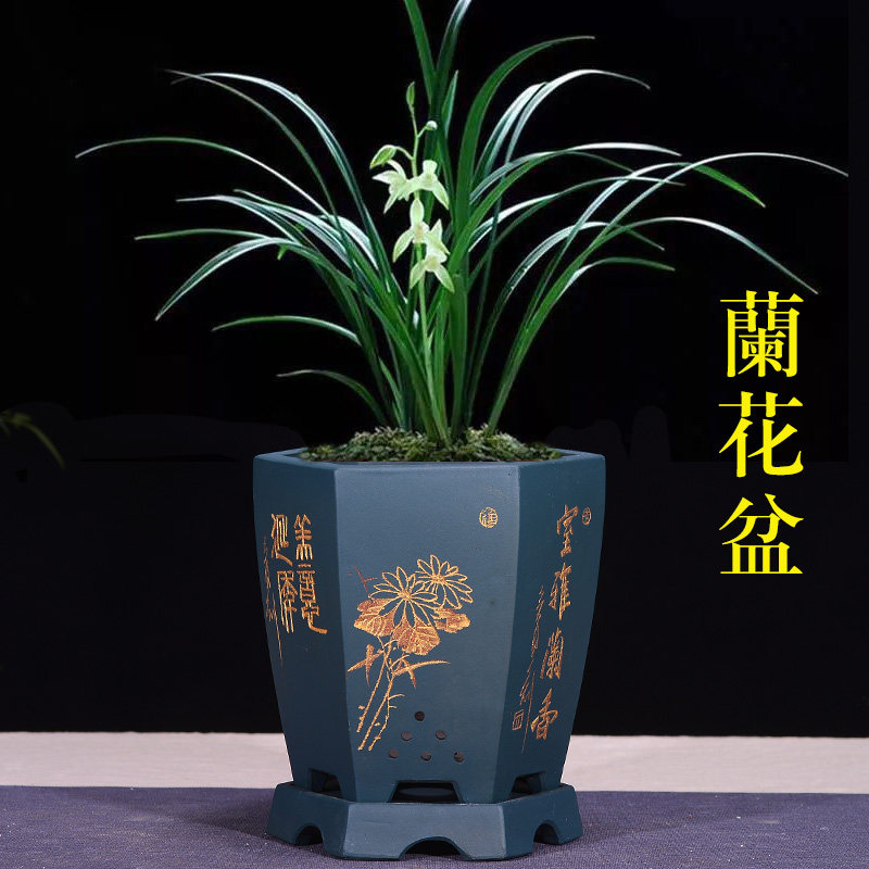 精品紫砂花盆兰花盆景盆室内植物花卉盆栽陶瓷花盆文竹君子兰花盆
