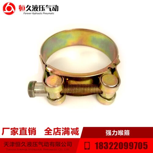 欧式铁镀锌强力喉箍重型卡箍抱箍水管固定管卡扣管箍紧箍管夹10个