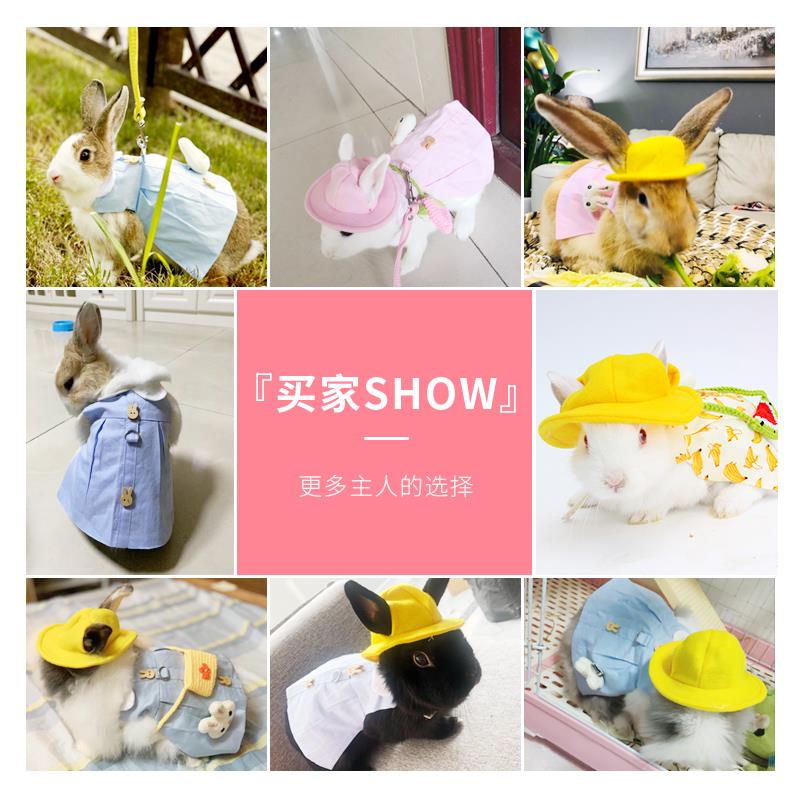 兔子专用溜兔绳小白兔栓绳防挣脱 侏儒兔遛兔用品可调节牵引绳图片
