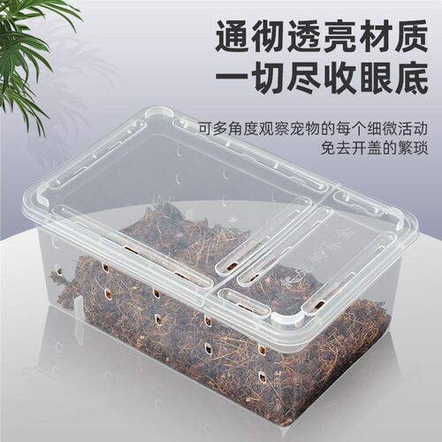 乌龟缸小型爬虫饲养盒蜘蛛角蛙蜗牛守宫爬宠箱养龟盆寄居蟹饲养缸