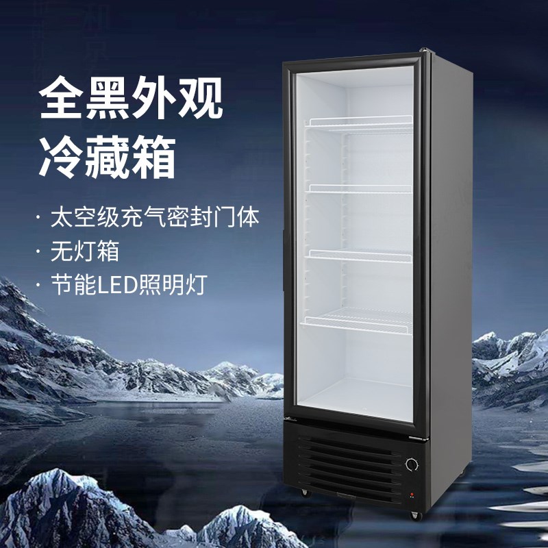 穗凌冰柜冰箱单门冷藏展示柜商用冷柜饮料立式展示柜冷藏保鲜柜